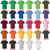 t shirt color chart - Rain World Merch